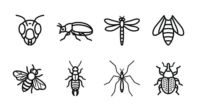 Insect Icons Collection: A collection of clean, simple line art icons representing various insects like ants, beetles, dragonflies, and bees, perfect for educational or biological themes.