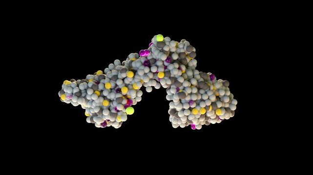 Parathyroid Hormone PTH Molecule 3D Animation Rotating Calcium Regulation Hormone