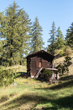Wetterschutzh&uuml;tte und Heuschober im hochalpinen L&auml;rchenwald der Alpen von Zermatt Schweiz