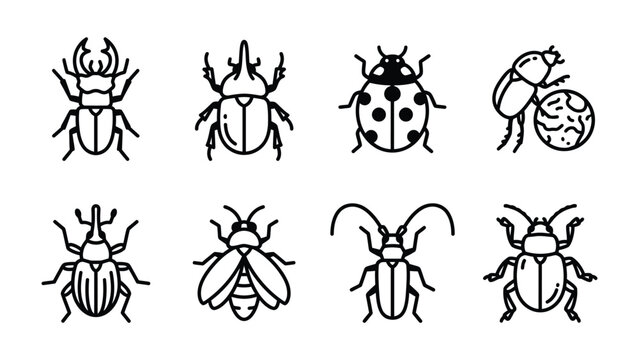 Set of Beetle Illustrations: A collection of eight distinct beetle illustrations, each rendered in a clean, minimalist line art style, showcasing diverse beetle species and their unique forms.