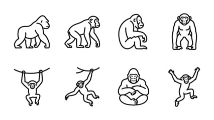 Fototapeta premium Primate Icon Set: A collection of simple line art icons depicts various primates in different poses, including gorillas, chimpanzees, and orangutans, showcasing their diversity and behavior.
