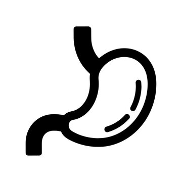 Linear vector icon of a human stomach organ outline with digestive syste