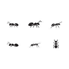 Fototapeta premium Black ant silhouettes arranged on a white background insect vector collection