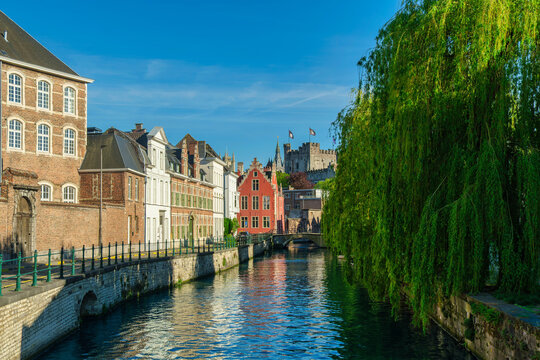 Weeping willow tree and traditional houses along a canal leading to the medieval Gravensteen castle, Ghent, East Flanders, Belgium