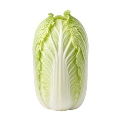 Fototapeta premium Freshly Cut Napa Cabbage Head Showcasing Crisp Green Leaves and Pale Inner Core Against Clean