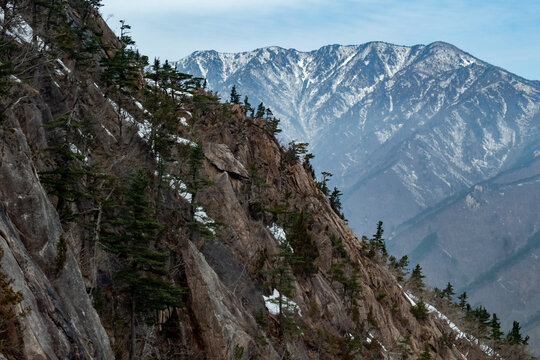 Rugged rocky cliff with evergreen pine trees and patches of snow set against a distant snow covered mountain range under a pale blue sky, Seoraksan National Park, South Korea