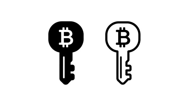 Bitcoin Key Icon Vector Set Representing Cryptocurrency Security and Digital Private Blockchain Password