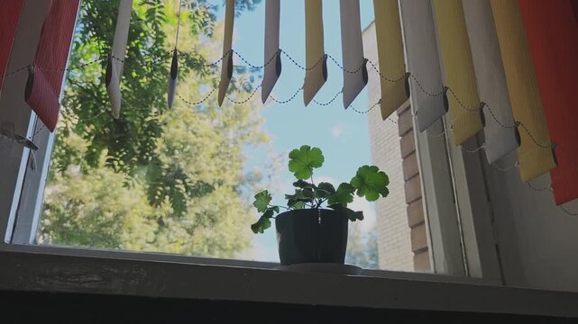 Gentle breeze swaying colorful vertical blinds on a window. Potted geranium plant resting on the sill with lush green trees visible outside