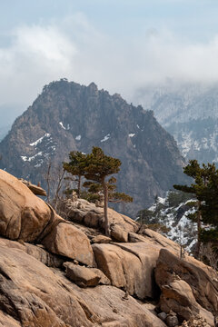 Rugged granite mountain and pine trees with patches of melting snow in winter, Seoraksan National Park, South Korea