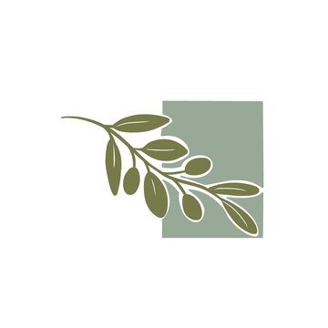 Botanical Olive Branch on Muted Green Square Vector Logo