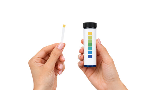 Female Hands Holding Vaginal pH Test Strip and Color Chart Container Isolated on Transparent Background