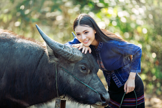 Smiling Young woman in traditional Thai clothing stroking a water buffalo, Sakhon Nakhon, Isan Region, Thailand