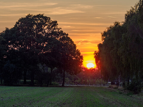 sommerabend im M&uuml;nsteralnd