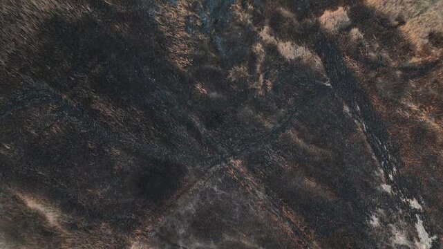 Aerial perspective of scorched terrain and burnt vegetation after a wildfire showing dark ash and charred soil texture