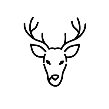 deer head vector