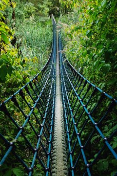 Photo of a suspension bridge over the polder waters in a nature reserve.