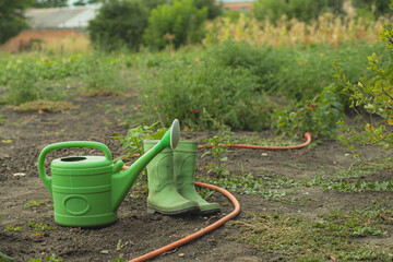 Green Watering Can And Boots In Vegetable Garden. Green watering can and rubber boots rest in a cultivated garden beside an irrigation hose, evoking outdoor gardening and rural life. © Rudi