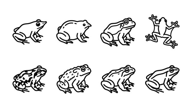 Frog Illustration Set: A collection of eight unique frog illustrations, showcasing various poses and patterns of these amphibious creatures in a clean, graphic style.