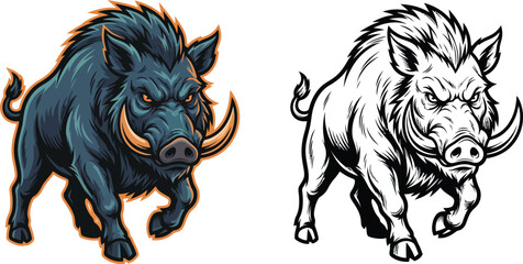 Obraz premium A fierce, charging wild boar with sharp tusks and an aggressive expression, depicted in both a vibrant, colorful illustration and a stark black and white line drawing.