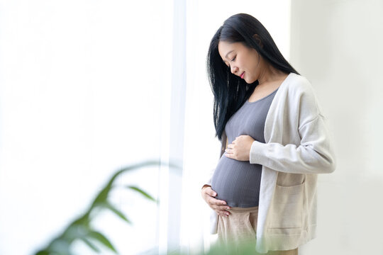 Beautiful pregnant woman is near the window of the house