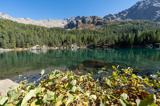 Turquoise waters of Lagh da Saoseo in the Engadin Alps surrounded by autumn nature, creating a peaceful, almost surreal scenery symbolizing mindfulness, clarity, letting go and inner calm.