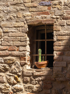 Kaktus in einem Tonk&uuml;bel auf der Fensterbank einer alten Ziegelsteinmauer, Florenz, Italien