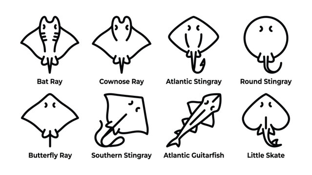 Ray Collection: A simple line art collection showcasing eight distinct types of rays, including bat ray, cownose ray, Atlantic stingray, round stingray, butterfly ray, southern stingray.