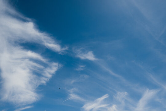 Blue sky with wispy cirrus clouds and contrail