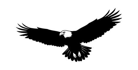Fototapeta premium Black silhouette of a bald eagle flying with wings spread wide in a simple graphic illustration style isolated on transparent background, Vector