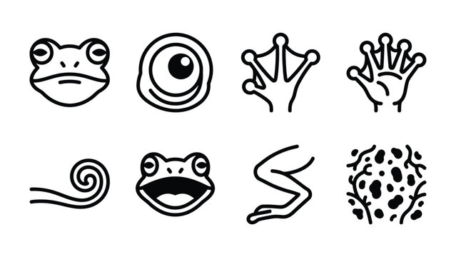 Frog Elements Collection: A set of simple line-art icons depicting various parts of a frog, including its face, eye, webbed foot, hind leg, and a swirl pattern.