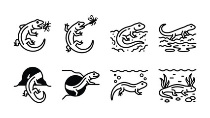 Obraz premium Salamander Icon Set: A collection of eight minimalist line art illustrations depicting salamanders in various natural habitats and actions, including eating insects and swimming in water.