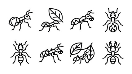 Obraz premium Ants Icon Set: A collection of stylized line art icons depicting ants in various poses and activities, including carrying leaves and standing, perfect for illustrating themes of teamwork and industry.