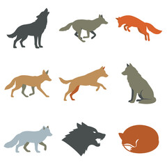 Obraz premium Set of colorful canine action silhouettes featuring wolf, fox, and wild dog in various poses including howling, running, jumping, sitting, and growling, isolated vector illustration on white