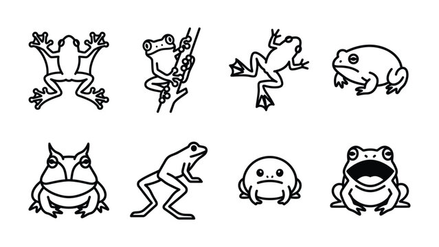 Collection of Frog Illustrations: A set of eight distinct line art illustrations depict various frog species in different poses and expressions, showcasing the diversity of these amphibians.