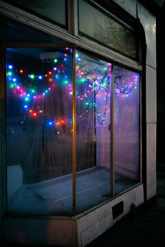 Christmas Light Display Case
