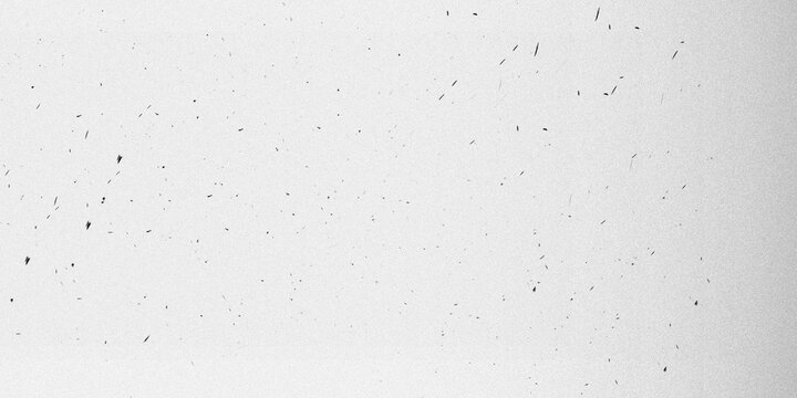 Vintage film grain texture on white background, subtle dust and speckle overlay, minimalist grunge paper effect for photo editing