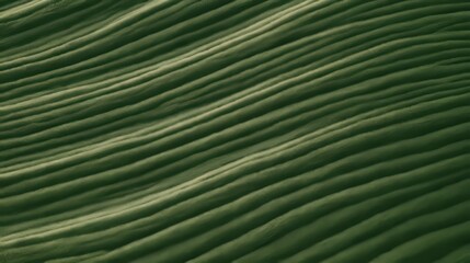 Obraz premium Green farm terraces and tea hills in rural landscape pattern.