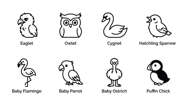 Baby Bird Icons: A collection of charming line art icons depicting various baby birds, including an eaglet, owlet, cygnet, hatchling sparrow, baby flamingo, baby parrot, baby ostrich.