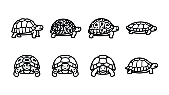 Cute Turtle Collection: A delightful assortment of eight stylized turtle illustrations, each unique in pattern and expression, showcasing a variety of charming designs.