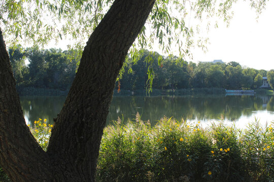 beautiful landscape with river and trees