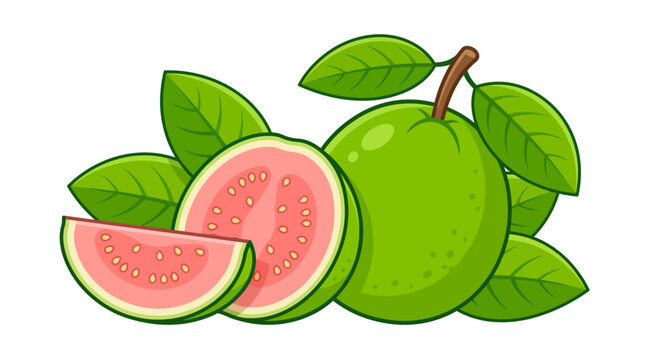 A vibrant flat vector illustration of fresh guava fruit.