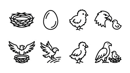 Fototapeta premium Avian Life Cycle Icons: A collection of clean, minimalist line art icons illustrating the stages of avian life, from nest and egg to chick and adult bird, depicting growth and family.