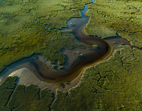 Sinuous Tidal Creek Through Coastal Salt Marsh