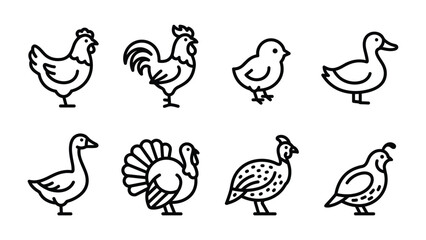 Obraz premium Farm Bird Icons: A collection of stylized line art illustrations depicting various farm birds, including a hen, rooster, chick, duck, goose, turkey, pheasant, and quail.