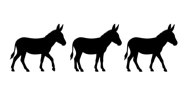 Three donkeys walking in a row black silhouette