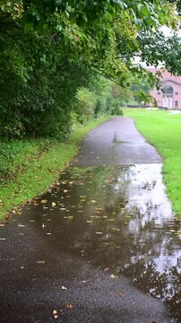 rain in the park, Fall leaves walkway puddle falling rain, slow motion handheld video, authentic real bokeh b rolll video 