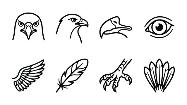 Eagle Icons: A collection of striking black and white line art icons depicting various features of an eagle, including its head, eye, beak, wing, feather, and claw.