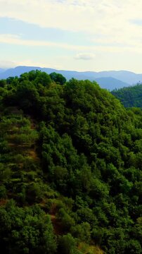 Vertical video. Carrodano Superiore, Italy. A medieval hilltop village with terracotta rooftops and a slender church bell tower, nestled in dense green woodland of the Val di Vara, Drone footage. Ric