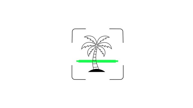 Animated Scanning Line Scanning Palm Tree Coconut Tree Icon Loop Green Laser Scanner Motion Graphic Environmental Satellite Nature Scan Target