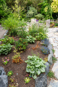 South Seattle Garden Section 4